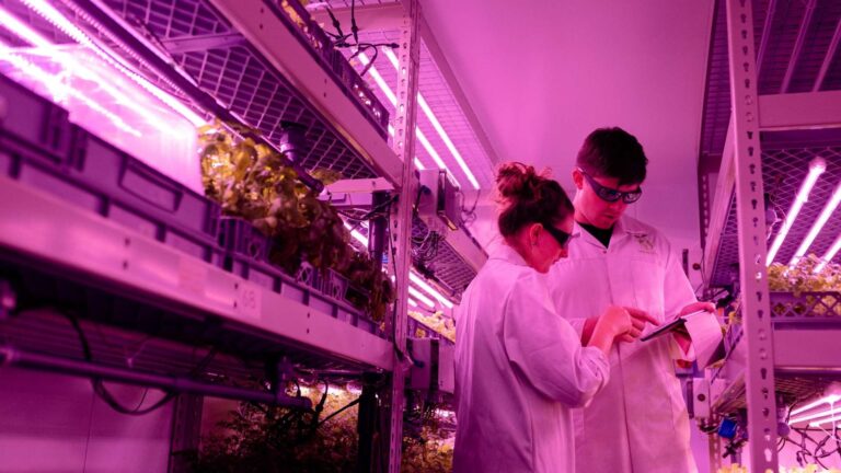 why-more-engineers-and-scientists-are-pursuing-mba.jpg