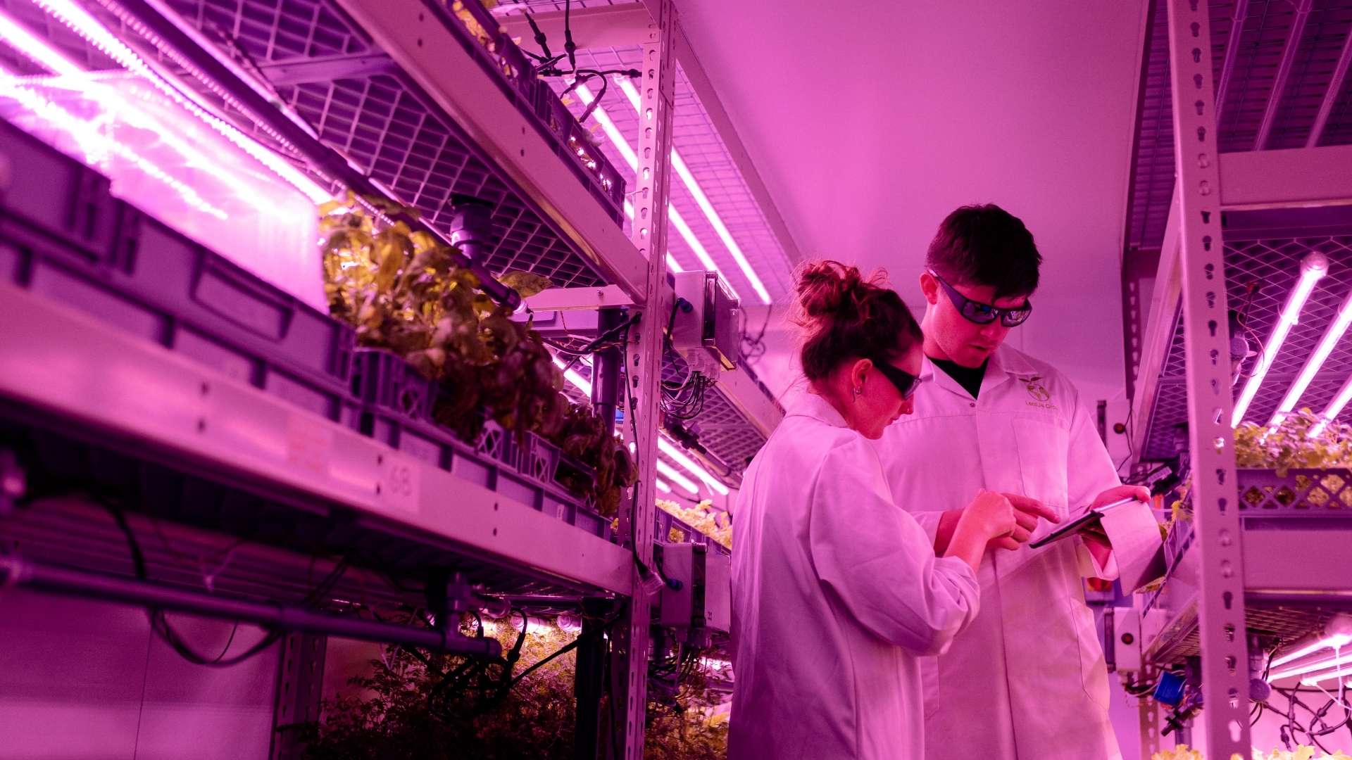 why-more-engineers-and-scientists-are-pursuing-mba.jpg